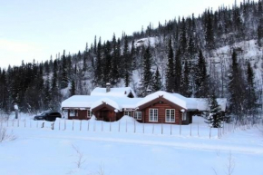 Peaceful mountain cabin in Hemsedal